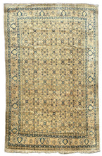 Lade das Bild in den Galerie-Viewer, Dante - Vintage Mahal Carpet