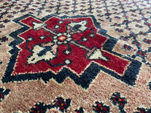 Загрузить изображение в средство просмотра галереи, Finleigh - Qashqai Lori Rug