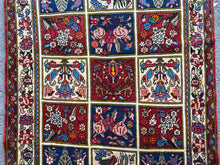 将图片加载到图库查看器，Barbra - New Bakhtiar Rug
