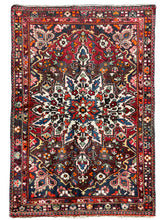 Load image into Gallery viewer, Carenza - Vintage Tribal Persian Baktiar Rug
